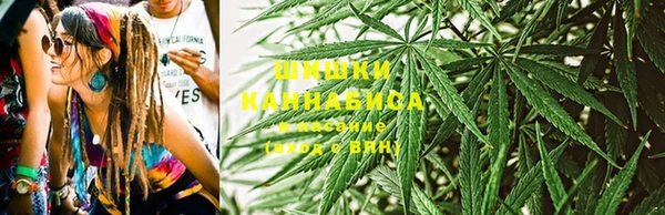прущие грибы Алексин