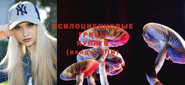 меф Александровское