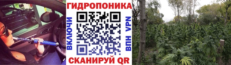 Канабис марихуана  Петровск-Забайкальский 